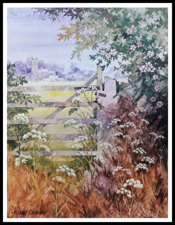 BH 35 Summer Hedgerows